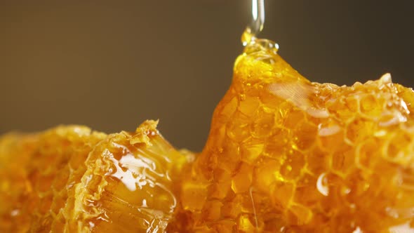 Sweet Honey Flowing on Honeycomb Closeup