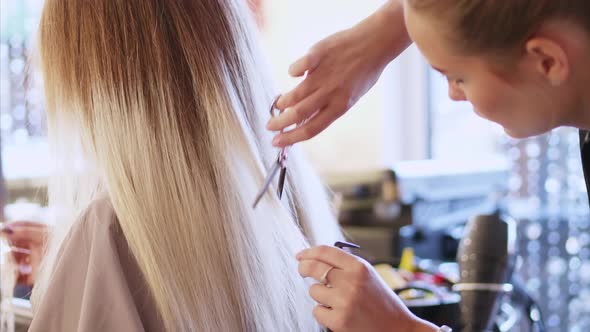 A Hairdresser is Cutting Hair in Beauty Salon