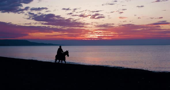 Silhouette of an horse near the Ocean