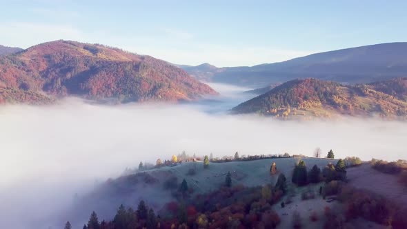 A Wonderful Feeling of a Moving Cloud on a Mountain After Rain