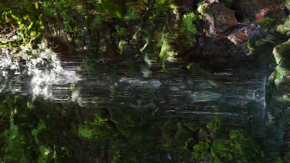 Small Waterfall Among Trees and Rocky Cliffs in National Park in Southern Russia