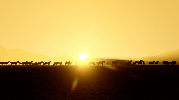 Horses And Sunset Landscape 