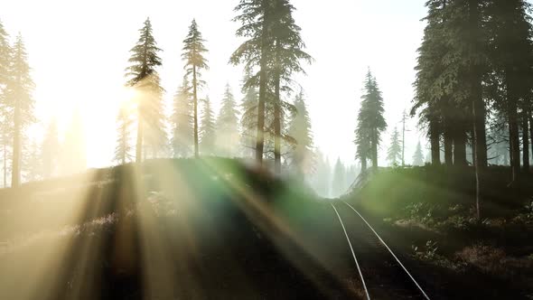 Flight Over A Railway Surrounded By Forest with Sunbeams