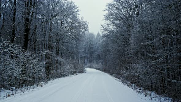 Camera Movement on the Snowy Road in the Forest. It's Snowing