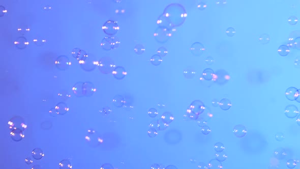 Soap Bubbles on Blue, Background, Slow Motion