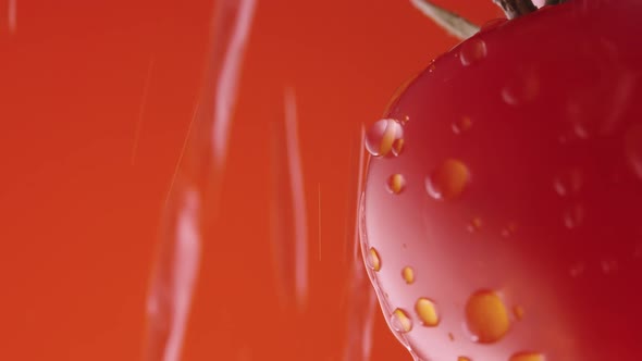 Macro Shot of Ripe Red Tomato in Drops of Water on Red Studio Background