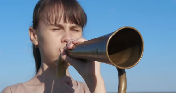 Horn sound in the field