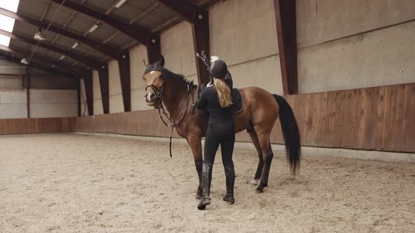 Woman In Riding Gear Stroking Horse's Mane