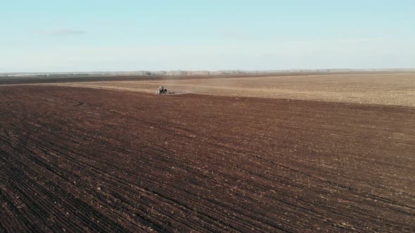 Aerial View of Tractor Plows the Field in Sunset, Sunrise, Raising Dust, and Behind It Fly Birds