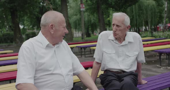 Two Old Friends Having a Nice Talking on Park Bench in Summer