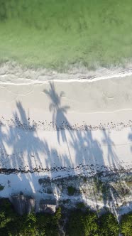 Vertical Video Empty Beach on Zanzibar Island Tanzania