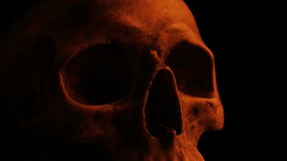 Old Skull In Firelight Tracking Shot