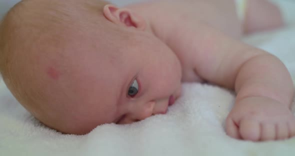 Cute Newborn Baby Lying on the Cozy Blanket Funny at Camera