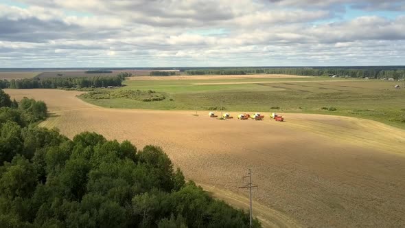 Upper View Harvesters and Trucks Stand on Wheat Field
