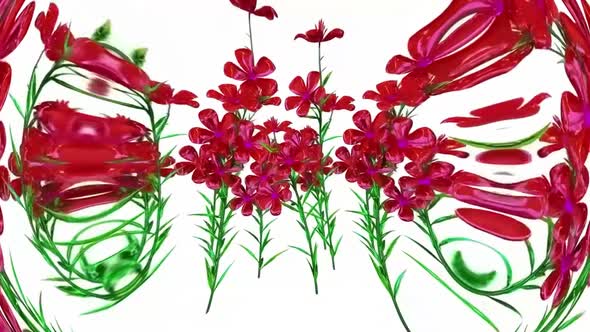 Petunia Botanical Flowers 3D Rendering
