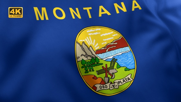 Montana State Flag - 4K