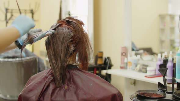 Unrecognizable Person Combs Colored Hair of Young Woman in Salon