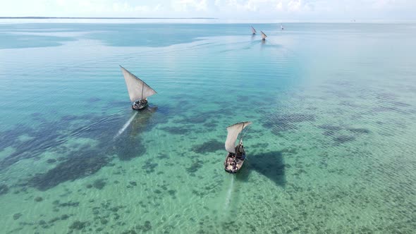 Boats in the Ocean Near the Coast of Zanzibar Tanzania