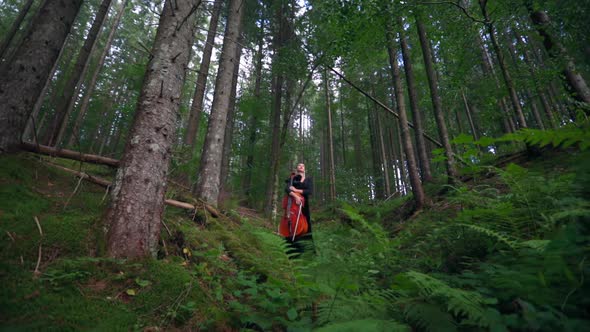 Gorgeous woman walks in woods with cello