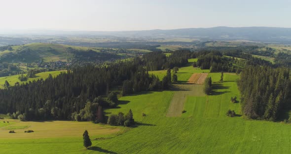 Flying Over the Beautiful Forest Trees. Landscape Panorama