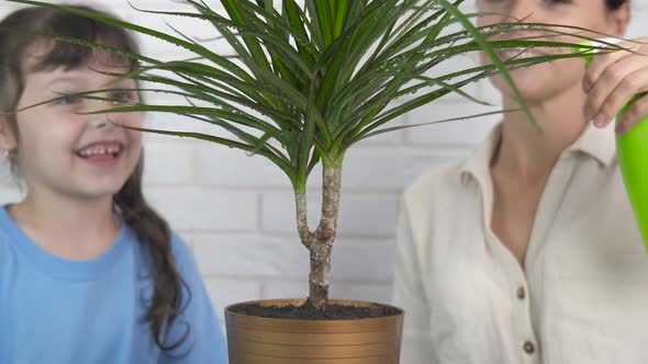 Family enjoy pot flowers. 