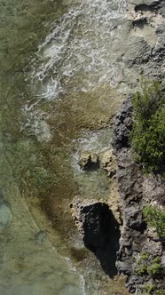 Vertical Video of the Ocean Near the Coast of Zanzibar Tanzania