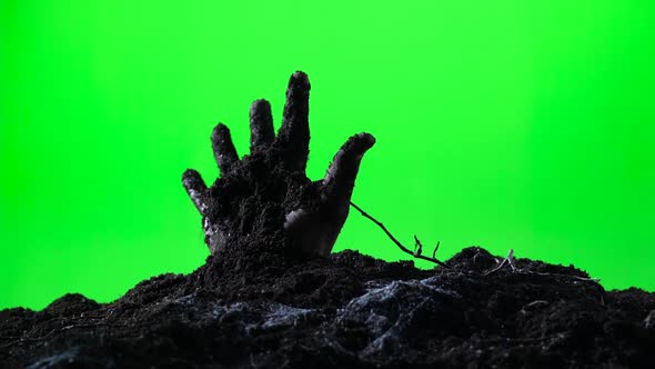 Zombie Hand Emerging From the Ground. Green Screen. 007