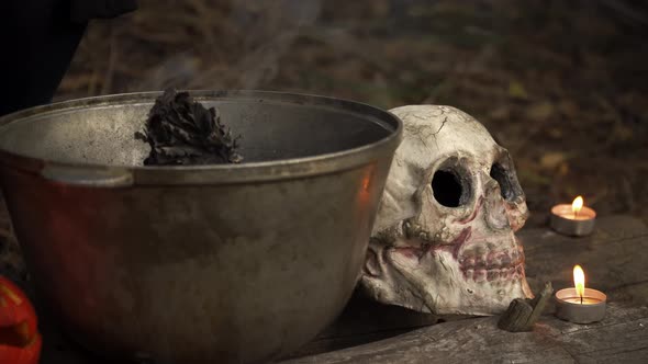 Smoking Kettle, Skull and Candles Are Standing at the Log in Autumn Forest