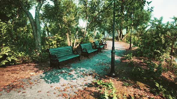 Pathways and Benches are Empty in Park During Covid19 Pandemic