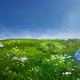 stylized grass land - VideoHive Item for Sale