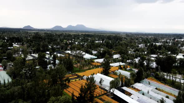 Round shot of flowers and volcanos in Xochimilco, mexico city