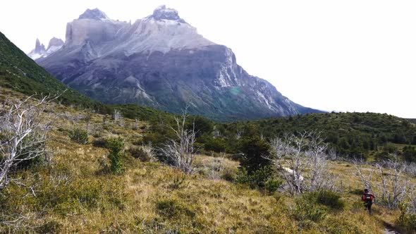 hiker on a burned and green land walking towards torres del paine