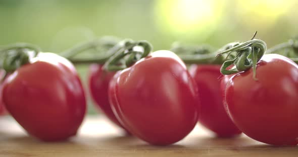 Red Tomatoes