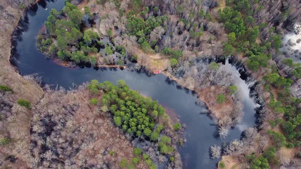 Aerial view of the river between the pines. Flying over a winding riverbed surrounded by treetops