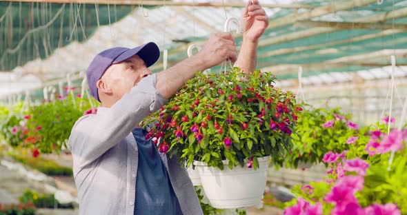 Confident Male Gardener Examining Potted Flower Plant