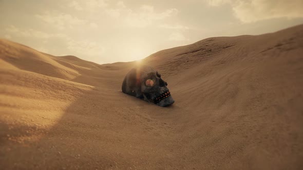 Skull in Desert