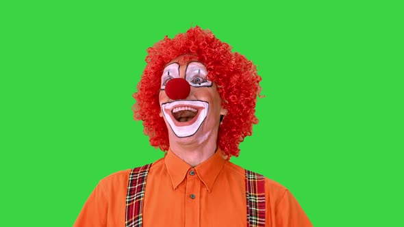 Happy Walking Clown Looking To the Sides on a Green Screen, Chroma Key.