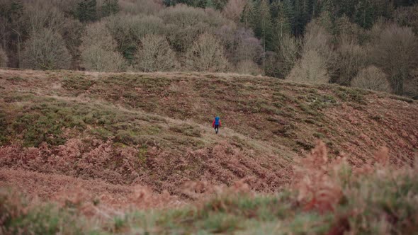 Tourist Hiking Along the Hills in Himmelbjerget Area Denmark