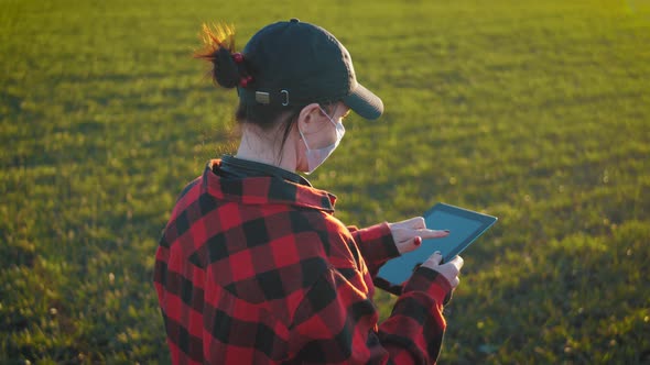 Agronomist Using a Digital Tablet in an Agriculture Field.