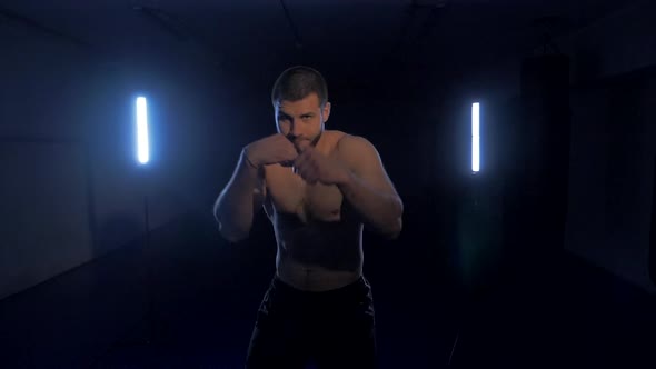 Boxer on a Dark Background with a Blue Backlight