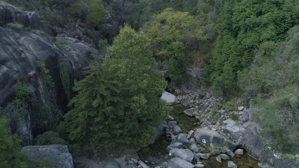 4k drone footage revealing a majestic waterfall, peeking through the surrounding jungle