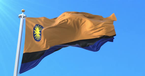 Cojedes State Flag, Venezuela