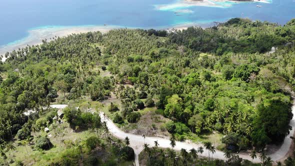 Panoramic View of Tropical Island