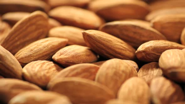 Almonds rotating close up studio