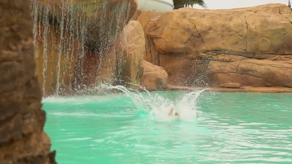 Young Attractive Man Dives Into Pool in Water Park