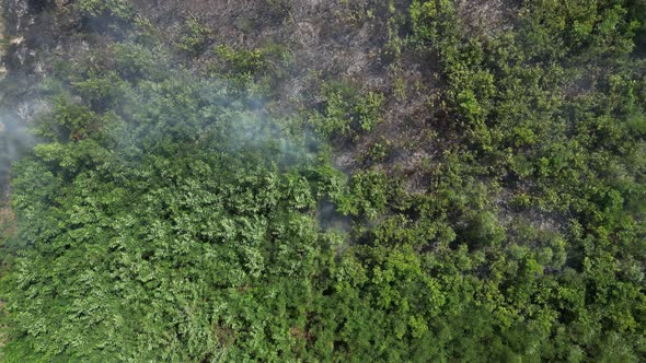 Bush Fire from Above 05