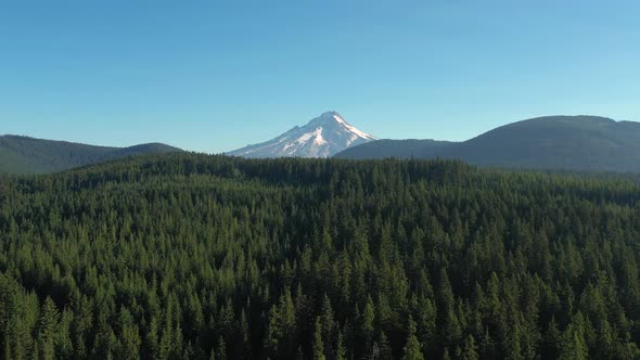 Aerial drone flying away and revealing snow covered Mount Hood in the Pacific Northwest.