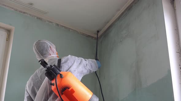 A Disinfectant in a Protective Suit Removes Black Mold in the House Using Chemical Pesticides Spray