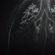 Meta Universe Lungs - QHD Background - VideoHive Item for Sale