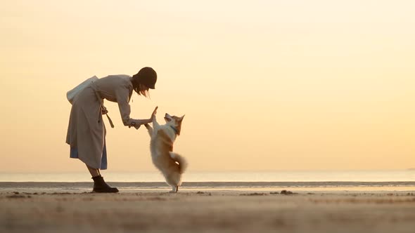 Woman and Pet Have Time Together on Beach During Evening Sunset on Autumn Outside Spbi